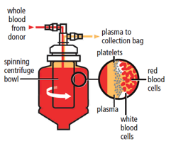Diagram of automated plasma collection procedure Source: CSL Behring